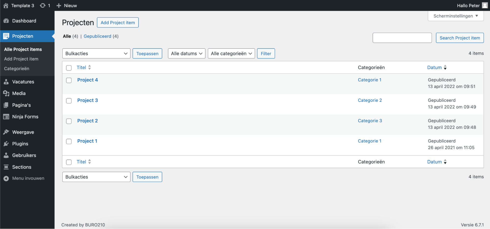 Post types in het WordPress-menu